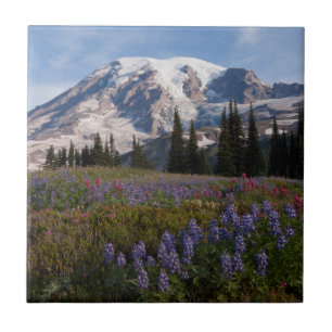 Azulejo De Cerámica Parque Nacional Mount Rainier, Mount Rainier 3