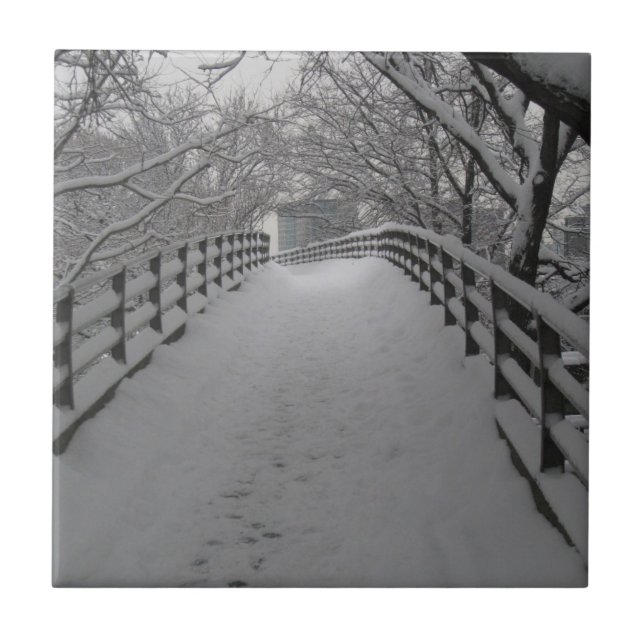 Azulejo De Cerámica Pasarela (Frente)