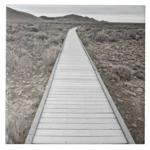 Azulejo De Cerámica Paseo marítimo a través del desierto