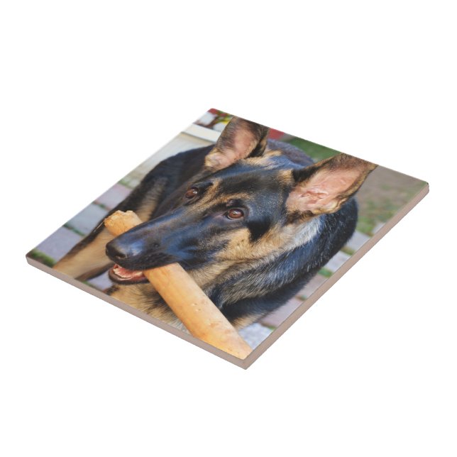 Azulejo De Cerámica Pastor alemán por Shirley Taylor (Lado)