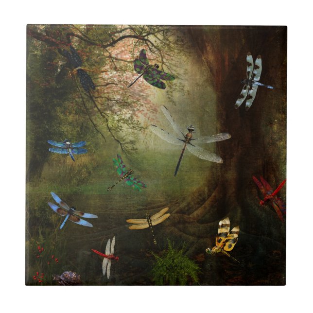 Azulejo De Cerámica Patio de la libélula (Frente)