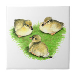 Azulejo De Cerámica Patitos de Mallard Nevados