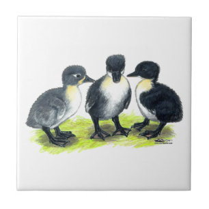 Azulejo De Cerámica Patitos Suecos Azules