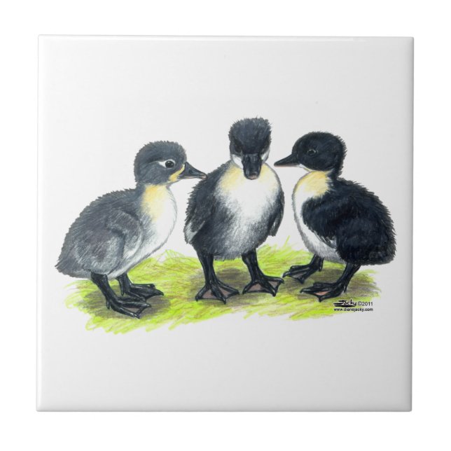 Azulejo De Cerámica Patitos Suecos Azules (Frente)