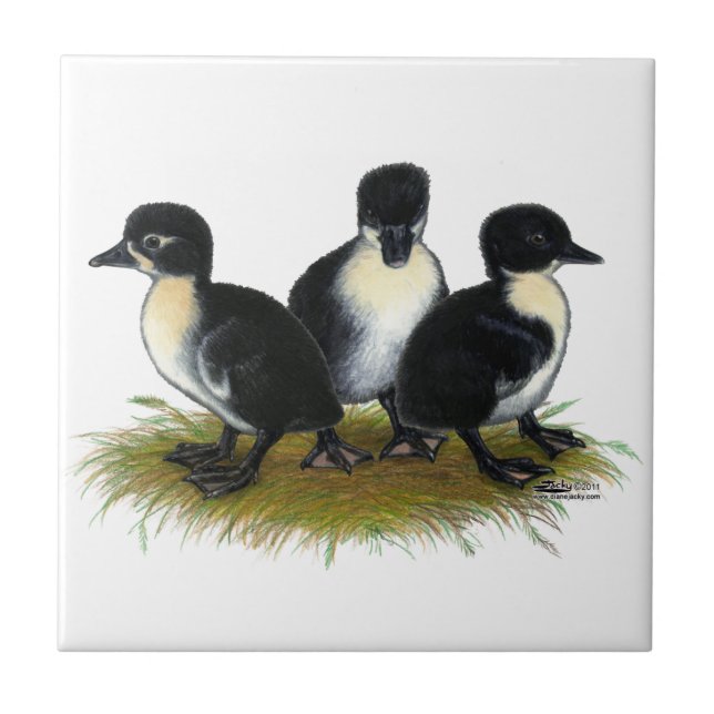 Azulejo De Cerámica Patitos Suecos Negros (Frente)