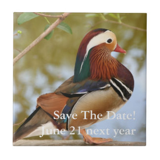Azulejo De Cerámica Pato Mandarin