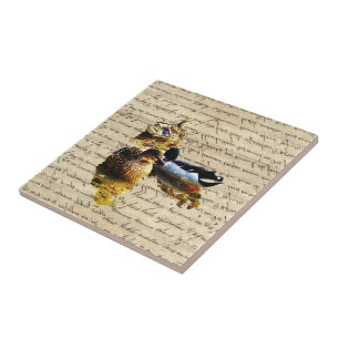 Azulejo De Cerámica Patos en papel vintage