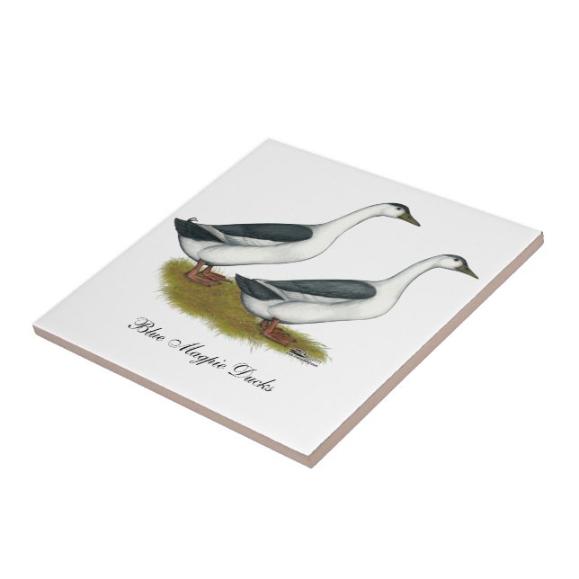 Azulejo De Cerámica Patos: Magpies azules (Lado)