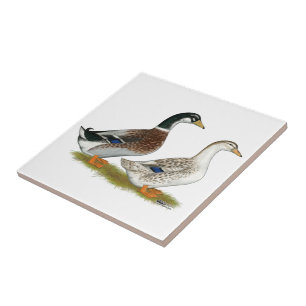 Azulejo De Cerámica Patos: patio plateado