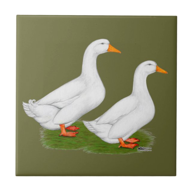 Azulejo De Cerámica Patos:  Pekins blanco (Frente)