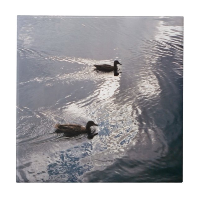 Azulejo De Cerámica Patos tranquilos antes de la tormenta (Frente)