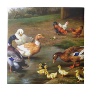 Azulejo De Cerámica Patos y anadones