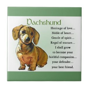 Azulejo De Cerámica Patrimonio de amor de Dachshund