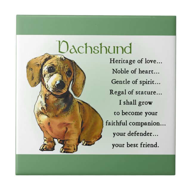 Azulejo De Cerámica Patrimonio de amor de Dachshund (Frente)
