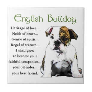 Azulejo De Cerámica Patrimonio de amor en el Bulldog inglés
