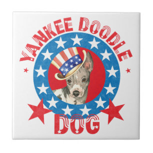 Azulejo De Cerámica Patriótico Americano Hairless Terrier