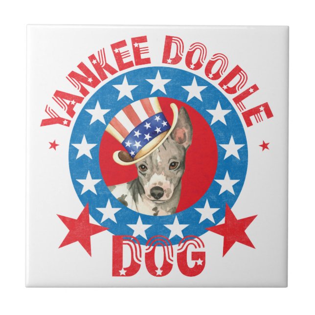 Azulejo De Cerámica Patriótico Americano Hairless Terrier (Frente)