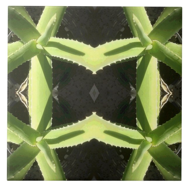 Azulejo De Cerámica Patrón Aloe 3h (Frente)