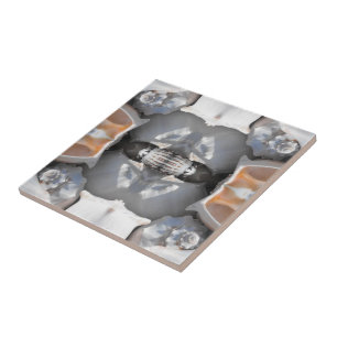 Azulejo De Cerámica Patrón de conchas