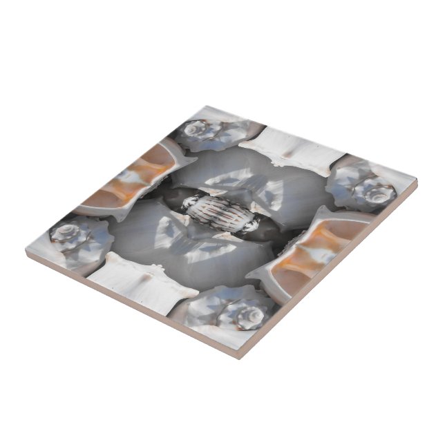 Azulejo De Cerámica Patrón de conchas marinas (Lado)