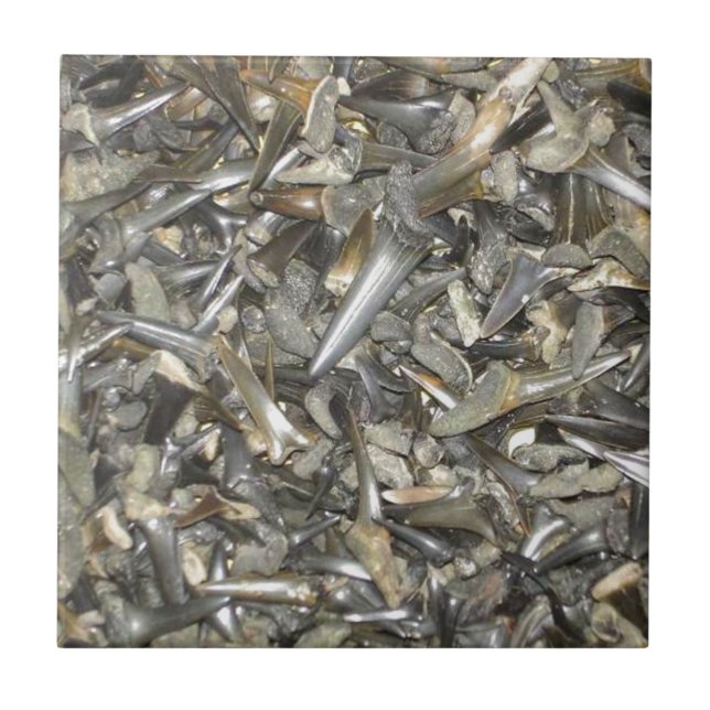 Azulejo De Cerámica Patrón de dientes de tiburón fósil (Frente)