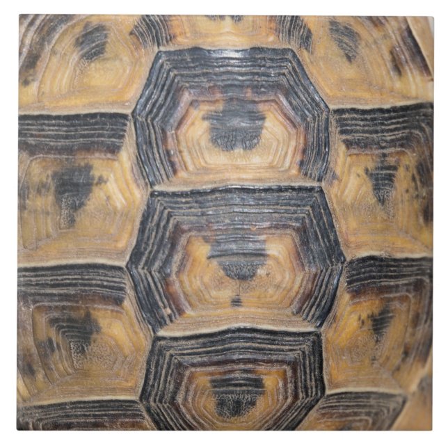 Azulejo De Cerámica Patrón de la concha de la tortuga (Frente)