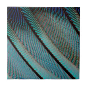 Azulejo De Cerámica patrón de pluma azul