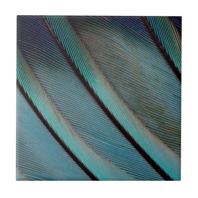 Azulejo De Cerámica patrón de pluma azul (Frente)