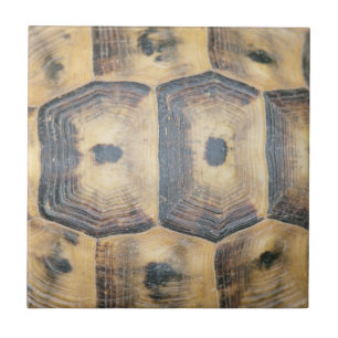 Azulejo De Cerámica Patrón de shell de tortuga
