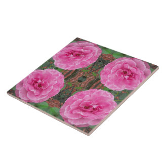 Azulejo De Cerámica Patrón rosa