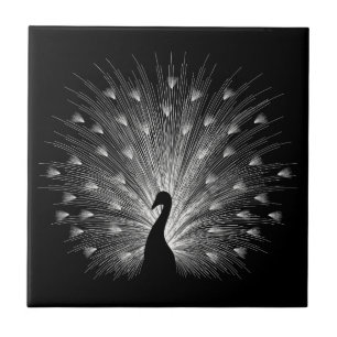 Azulejo De Cerámica Pavo real blanco