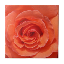 Peach rosa cerámica de mosaico fotográfico