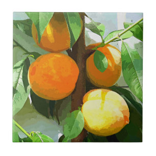 AZULEJO DE CERÁMICA PEACHES