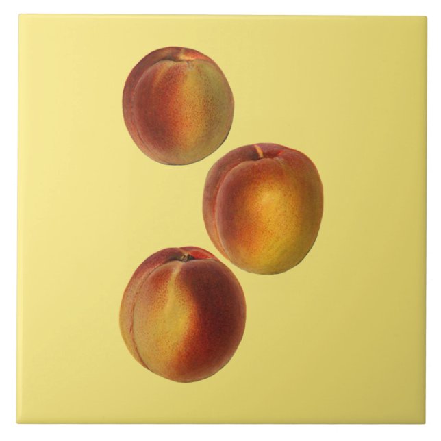 Azulejo De Cerámica Peaches Botánico ~ Cocina ~ Cualquier fondo de col (Frente)