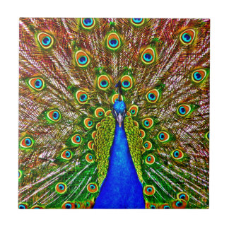 Azulejo De Cerámica Peacock