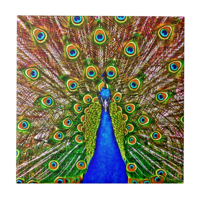 Azulejo De Cerámica Peacock (Frente)