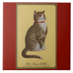 Azulejo De Cerámica Peake, anciano de Chessie, gato parlanchín