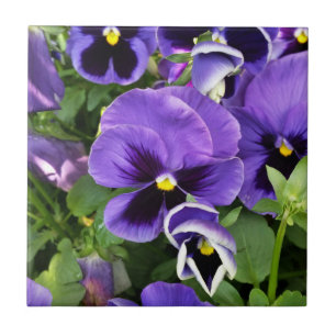 Azulejo De Cerámica pensamientos morados