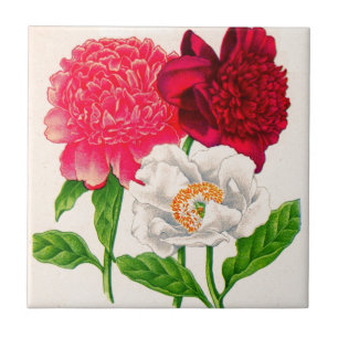 Azulejo De Cerámica peón rojo y blanco