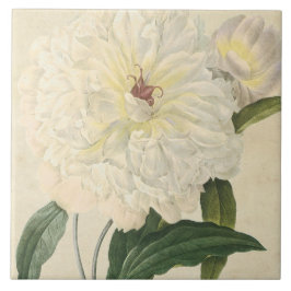 Azulejo De Cerámica Peony blanco botánico del vintage