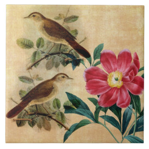 Azulejo De Cerámica Peony con los usignuolos