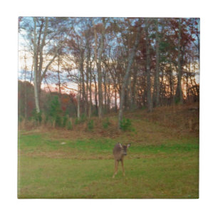 Azulejo De Cerámica Pequeño ciervo y un atardecer rosado