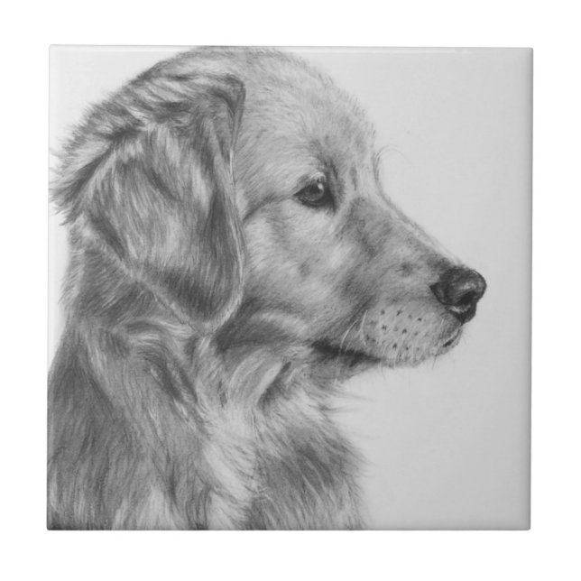 Azulejo De Cerámica Perfil de oro de Retreiver (Frente)
