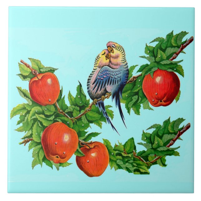 Azulejo De Cerámica periquitos enamorados (Frente)