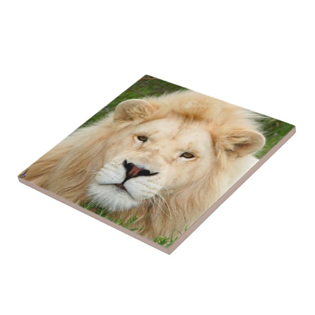 Azulejo De Cerámica Perla rubia (Lado)