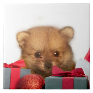 Azulejo De Cerámica Perrito de Pomeranian del navidad