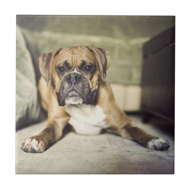 Azulejo De Cerámica Perrito del boxeador del cervatillo (Frente)