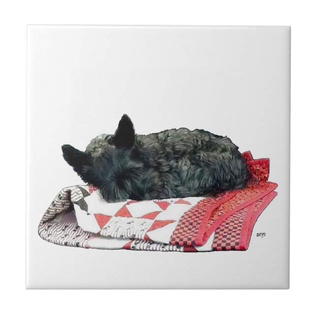 Azulejo De Cerámica Perrito Scottie Durmiendo Poco (Frente)