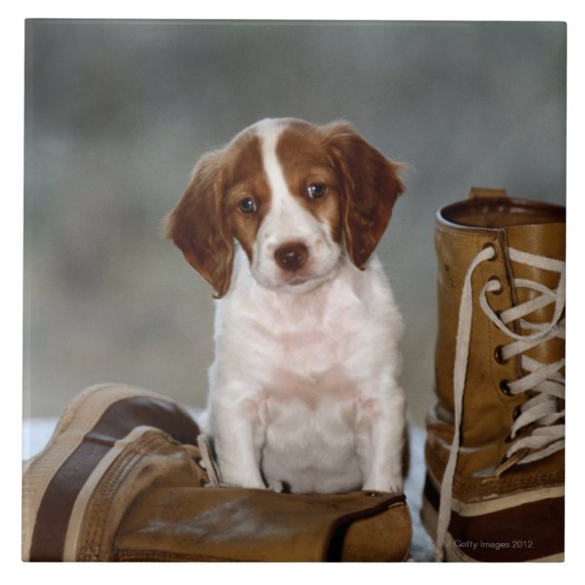 Azulejo De Cerámica Perrito y botas (Frente)