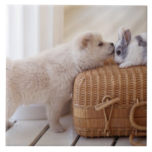 Azulejo De Cerámica Perrito y conejo (Frente)
